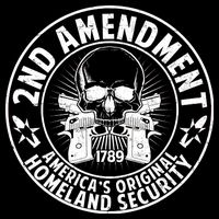 2nd Amendment America's Original Homeland Security Impact Tech Backpack