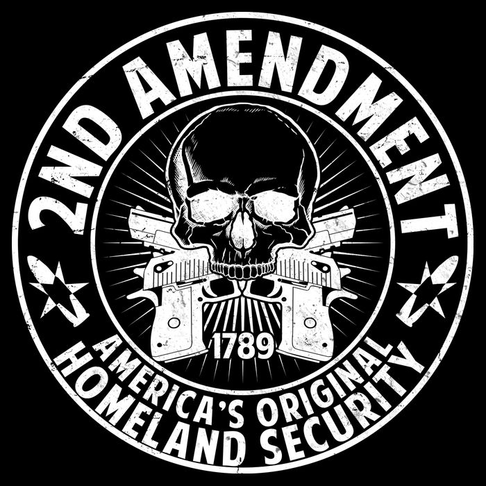 2nd Amendment America's Original Homeland Security Impact Tech Backpack