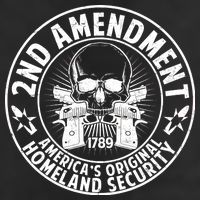 2nd Amendment America's Original Homeland Security Adult Drive Performance Visor