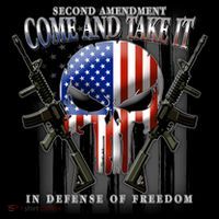 2nd Amendment Come And Take It In Defense Of Freedom Sustainable Beanie