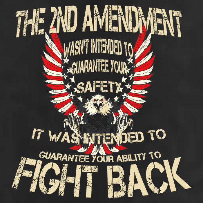 2nd Amendment Fight Back Adult Drive Performance Visor
