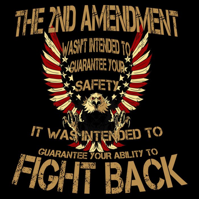 2nd Amendment Fight Back Mug