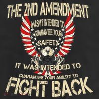 2nd Amendment Fight Back 11oz C Handle Ceramic Mug