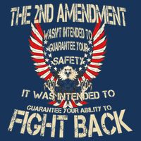 2nd Amendment Fight Back 7-Panel Snapback Hat