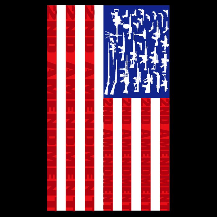 2nd Amendment Flag Toddler T-Shirt
