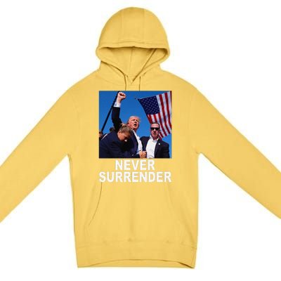 2024 Pennsylvania Rally Premium Pullover Hoodie