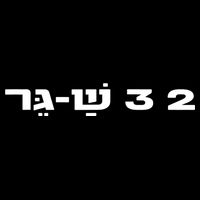 23 Shager Israel Defense Forces Idf Israeli Military Army Premium T-Shirt