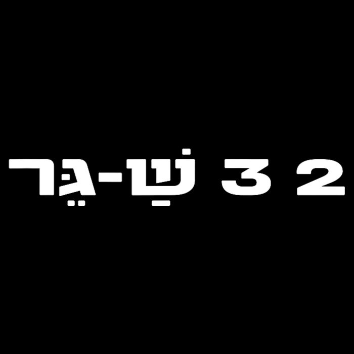 23 Shager Israel Defense Forces Idf Israeli Military Army Premium T-Shirt