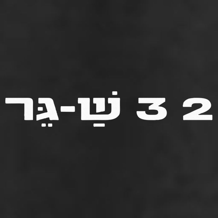23 ShaGer Israel Defense Forces IDF Israeli Military Army  Hat