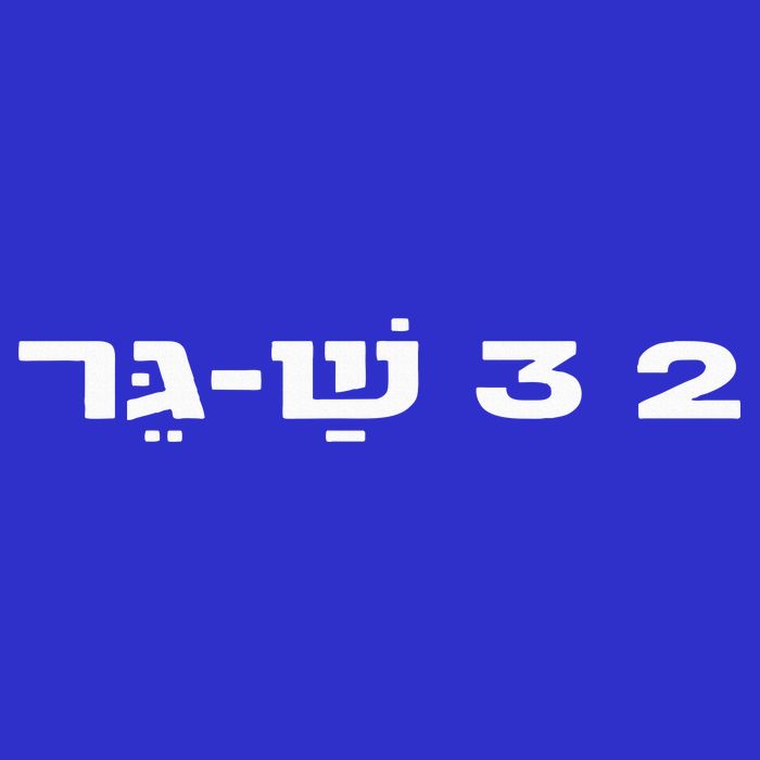 23 ShaGer Israel Defense Forces IDF Israeli Military Army  Premium T-Shirt