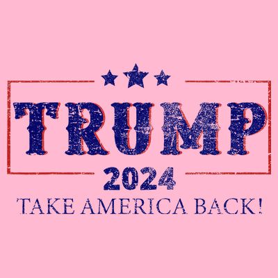 2024 Take America Back Trump Make America T-Shirt