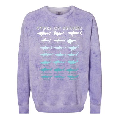 21 Types Of Sharks Marine Biology Colorblast Crewneck Sweatshirt