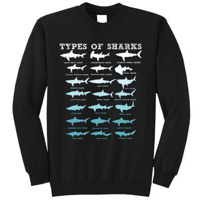 21 Types Of Sharks Marine Biology Sweatshirt