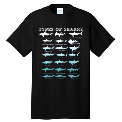 21 Types Of Sharks Marine Biology Tall T-Shirt