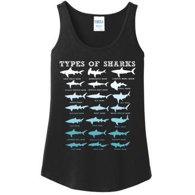 21 Types Of Sharks Marine Biology Ladies Essential Tank