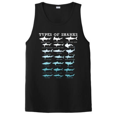 21 Types Of Sharks Marine Biology PosiCharge Competitor Tank