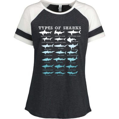 21 Types Of Sharks Marine Biology Enza Ladies Jersey Colorblock Tee