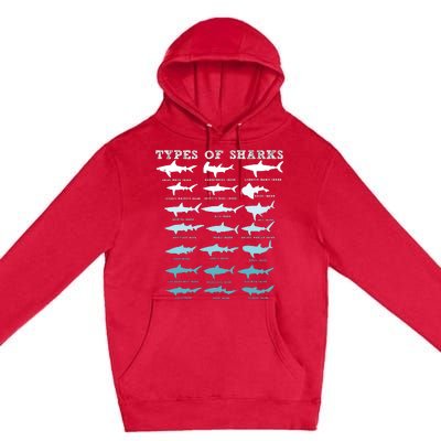 21 Types Of Sharks Marine Biology Premium Pullover Hoodie