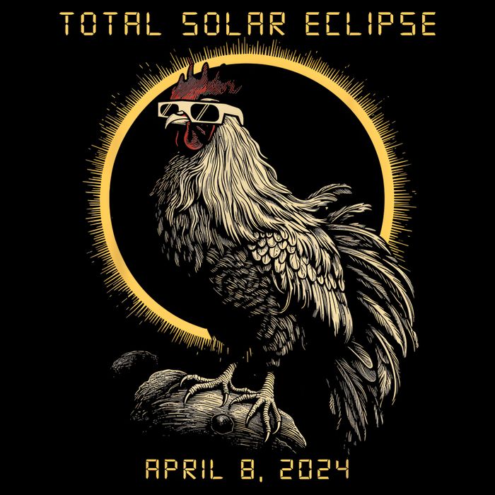 2024 Total Solar Eclipse April 8 Funny Rooster With Glasses Button