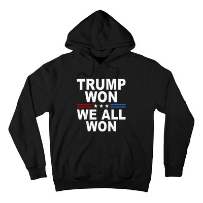 2024 Usa Flag Trump Won Hoodie