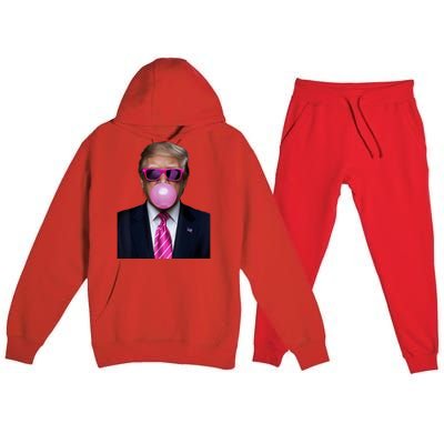 2024 Vote President Funny Cute Premium Hooded Sweatsuit Set