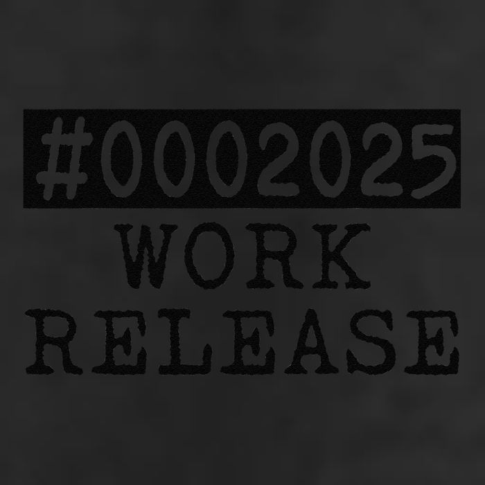 2025 Work Release Funny Retirement 2025 Retired Adult Drive Performance Visor