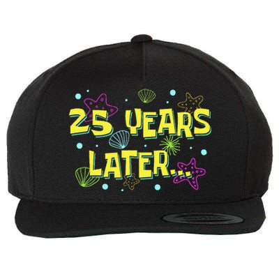 25 Years Later 25 Years Old Meme Funny 25th Birthday Party Gift Wool Snapback Cap