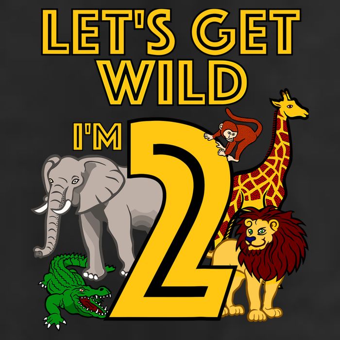 2 Year Old Zoo Birthday Safari Jungle Animal 2nd Gift 7 Panel Mesh Trucker Snapback Hat
