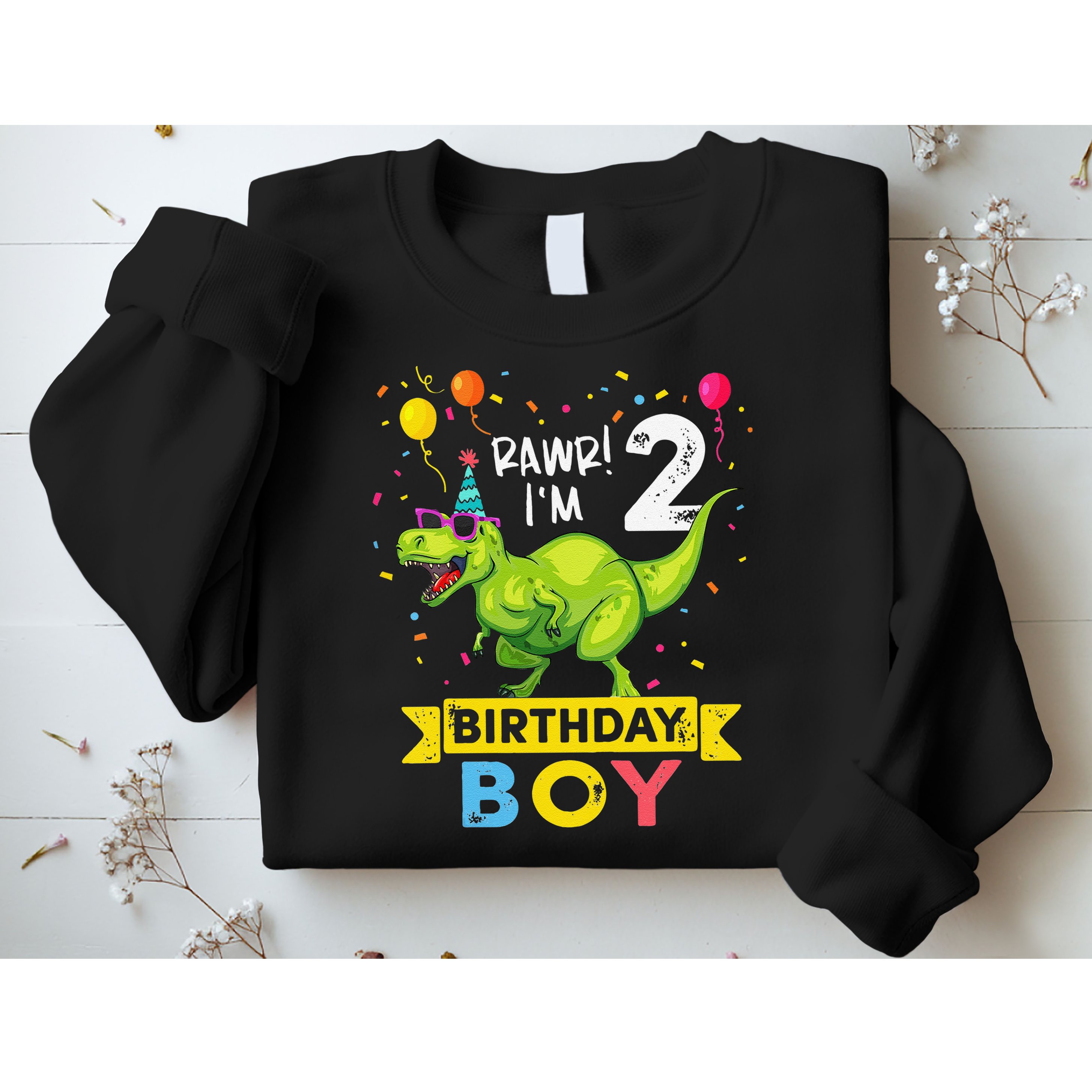 2 Year Old 2nd Birthday Boy T Rex Dinosaur T Sweatshirt