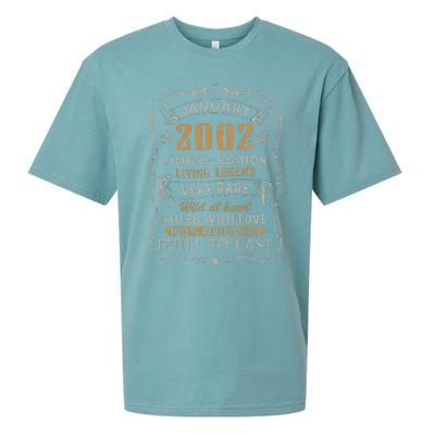 21 Year Old Awesome Since January 2002 21st Birthday Gift Sueded Cloud Jersey T-Shirt