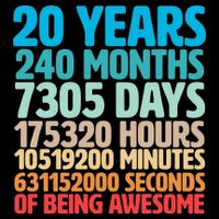 20 Years Of Being Awesome 20th Birthday Time Breakdown T-Shirt