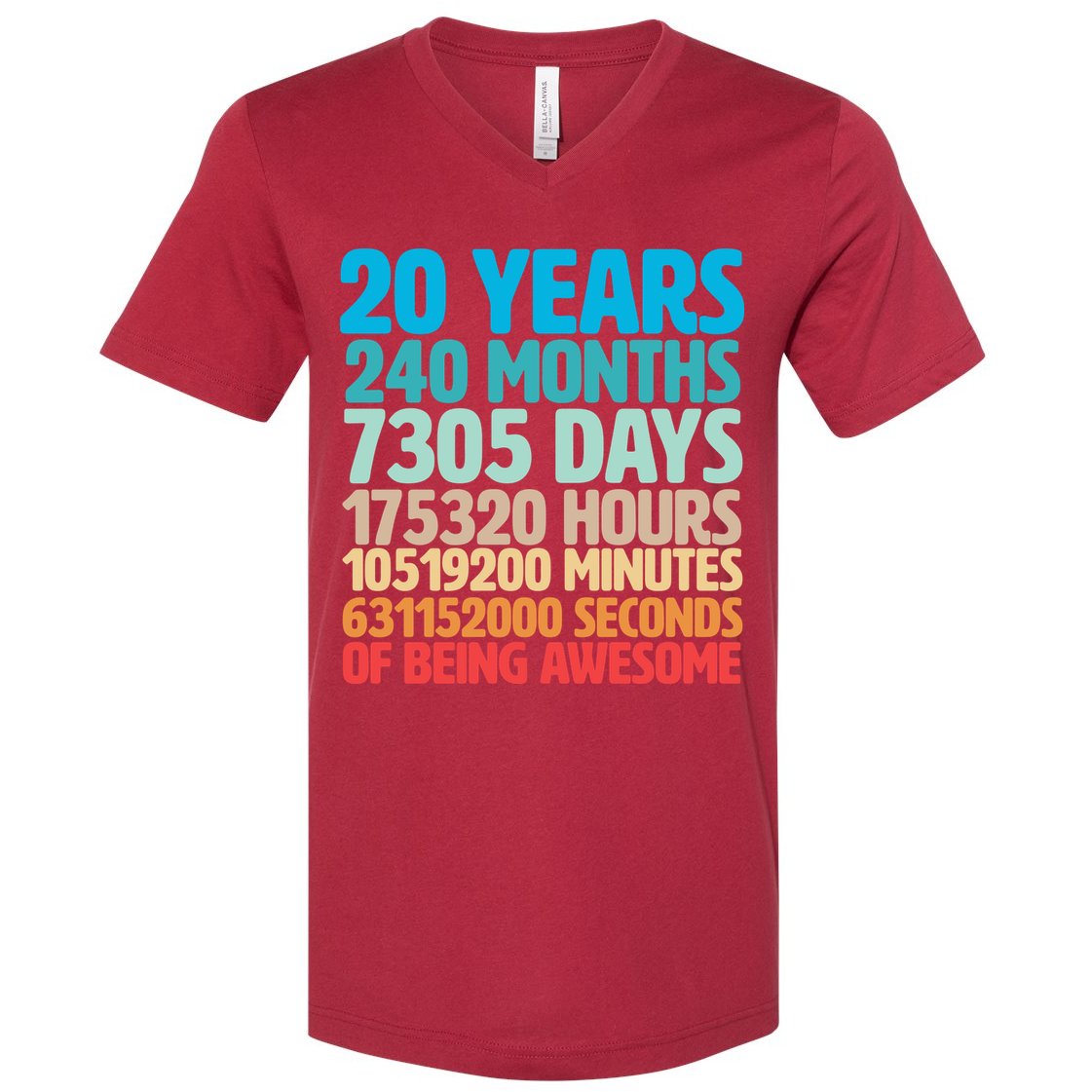 20 Years Of Being Awesome 20th Birthday Time Breakdown V-Neck T-Shirt