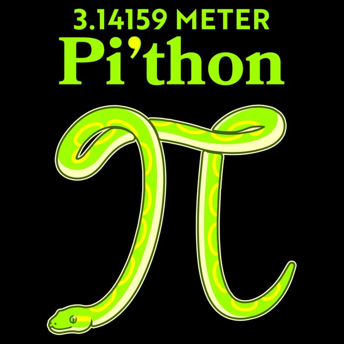 3.14 Meter Pi'thon Python Snake Pi Day March 14 Flat Bill Trucker Hat