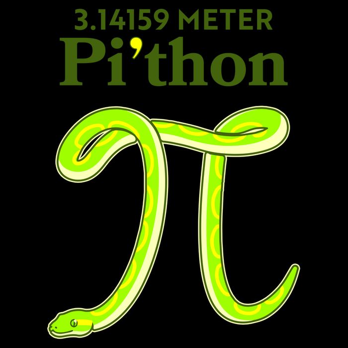 3.14 Meter Pi'thon Python Snake Pi Day March 14 Baseball Sleeve Shirt