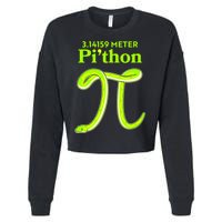 3.14 Meter Pi'thon Python Snake Pi Day March 14 Cropped Pullover Crew