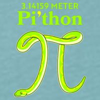3.14 Meter Pi'thon Python Snake Pi Day March 14 Sueded Cloud Jersey T-Shirt