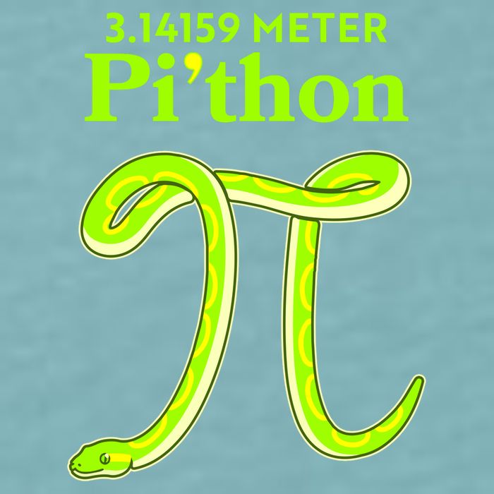 3.14 Meter Pi'thon Python Snake Pi Day March 14 Sueded Cloud Jersey T-Shirt