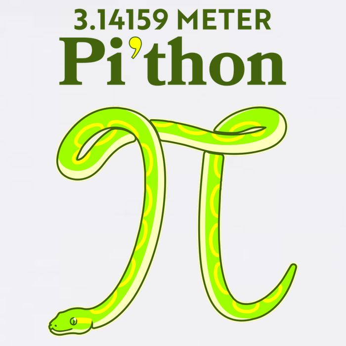 3.14 Meter Pi'thon Python Snake Pi Day March 14 Garment-Dyed Sweatshirt