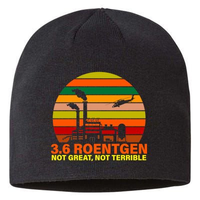 3.6 Roentgen Not Great, Not Terrible Sustainable Beanie