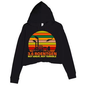 3.6 Roentgen Not Great, Not Terrible Crop Fleece Hoodie