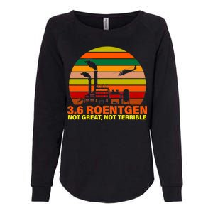 3.6 Roentgen Not Great, Not Terrible Womens California Wash Sweatshirt