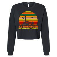 3.6 Roentgen Not Great, Not Terrible Cropped Pullover Crew