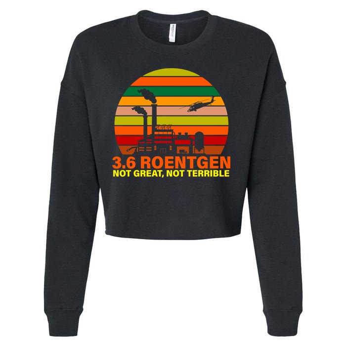 3.6 Roentgen Not Great, Not Terrible Cropped Pullover Crew