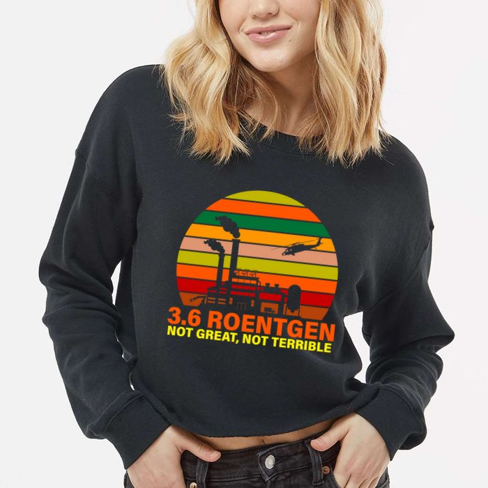 3.6 Roentgen Not Great, Not Terrible Cropped Pullover Crew