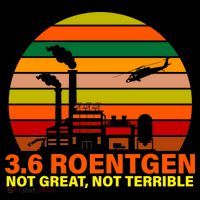 3.6 Roentgen Not Great, Not Terrible Short Acrylic Beanie