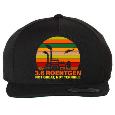 3.6 Roentgen Not Great, Not Terrible Wool Snapback Cap