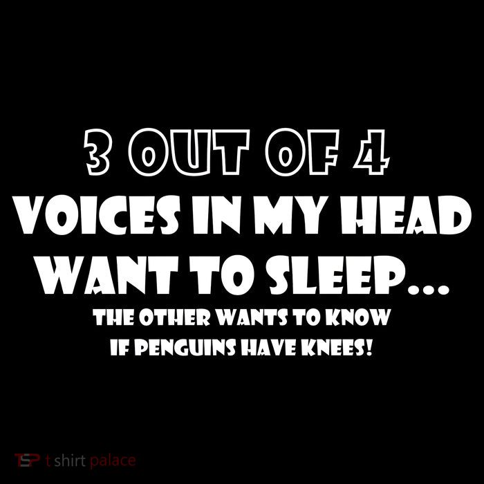 3 Out Of 4 Voices In My Head Funny Penguins  Stripe Pom Pom Beanie