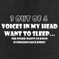 3 Out Of 4 Voices In My Head Funny Penguins  Tumbler
