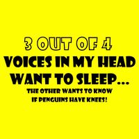 3 Out Of 4 Voices In My Head Funny Penguins  Womens T-Shirt