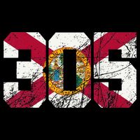 305 Area Code Flag Of Florida Miamidade County T-Shirt